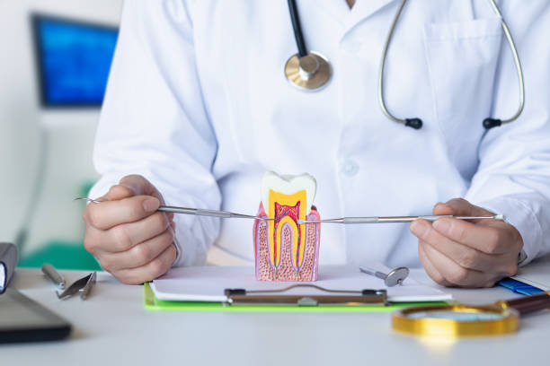 Best Emergency Root Canal Treatment in Secaucus, NJ